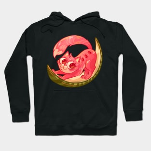 Watermelon Cat Hoodie